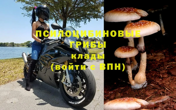 мяу мяу мука Белоозёрский