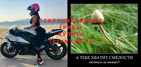 мяу мяу мука Белоозёрский